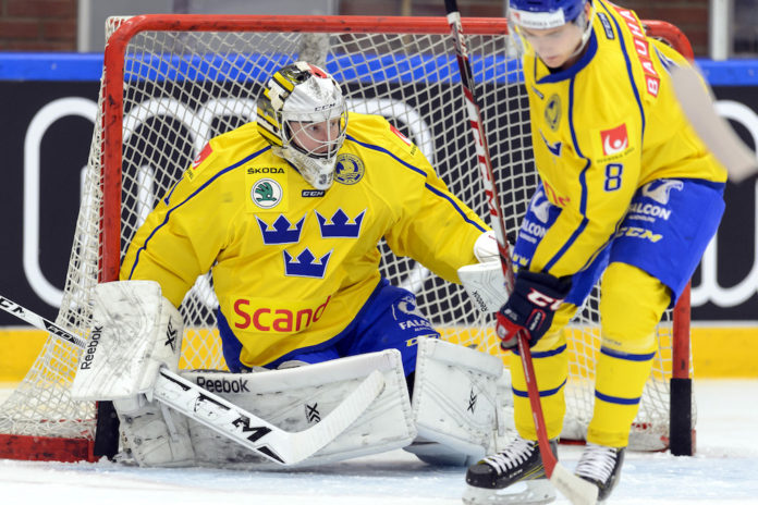 Ishockey, Euro Hockey Challenge, Sverige - Schweiz