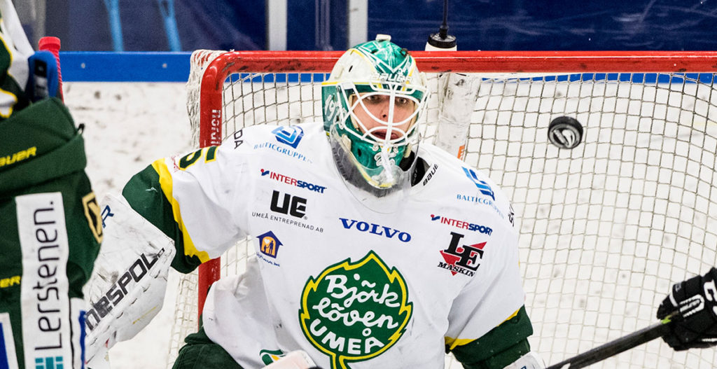 Här är målvakterna i Hockeyallsvenskan 2017/2018