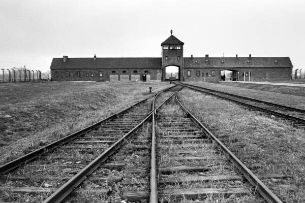 En skrämmande syn för alla, infarten till Auschwitz Foto: Bildbyrån