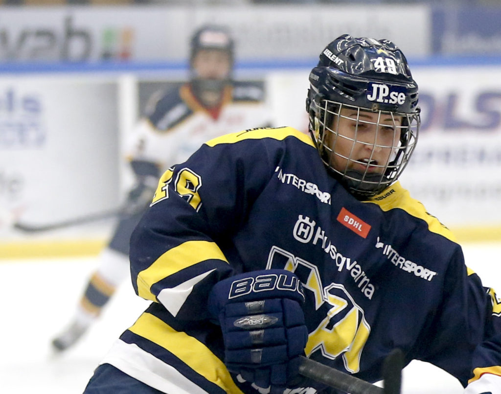 SDHL-kollen: En succédebut, sex matcher och 100 poäng