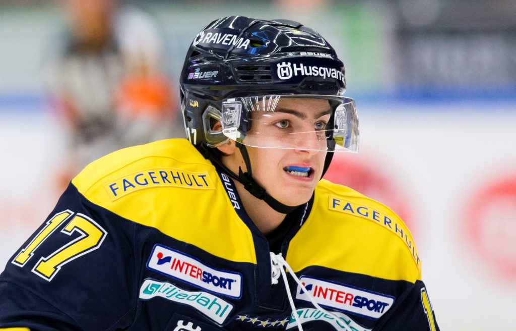 Brännström till Tingsryd på lån – "behöver spela seniorhockey"