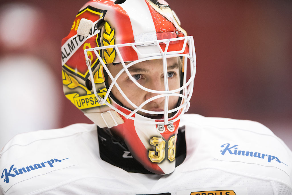 Veckans lag i Hockeyallsvenskan - vecka 47