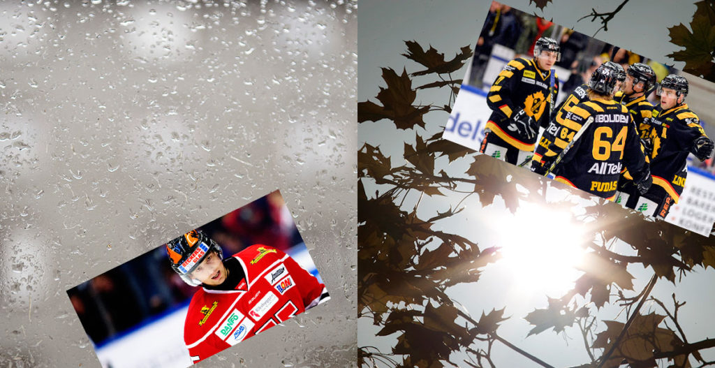 STATISTIK: SHL i november – en ljus eller mörk historia