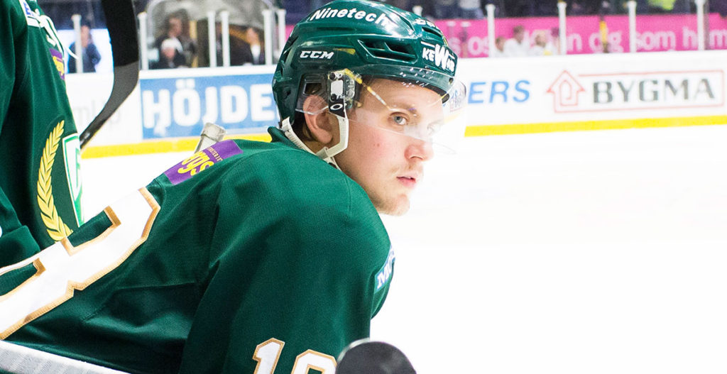 SHL-meriterad back på tryout i Hockeyallsvenskan SHL-meriterad back på tryout i Hockeyallsvenskan