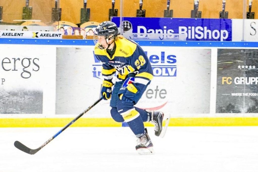 Sverige till VM-final