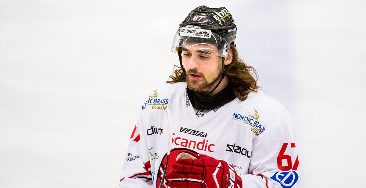 Hockeyallsvensk forward förstärker Nybro