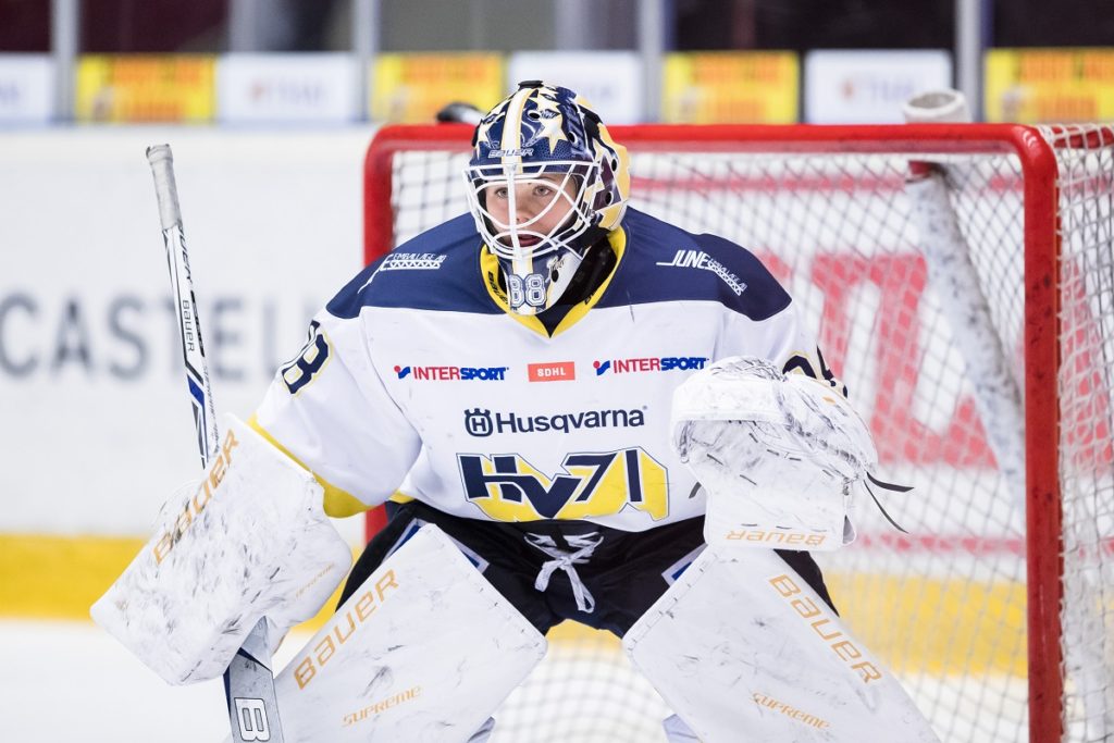 SDHL: Säsongen över för HV-målvakten