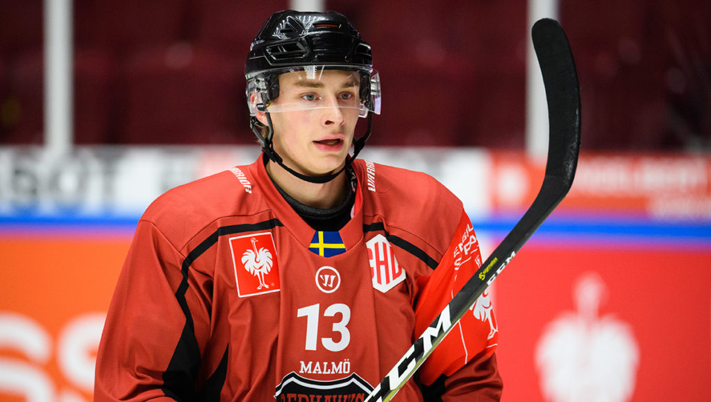 Hockeyettan-klubben lånar back från Hockeyallsvenskan
