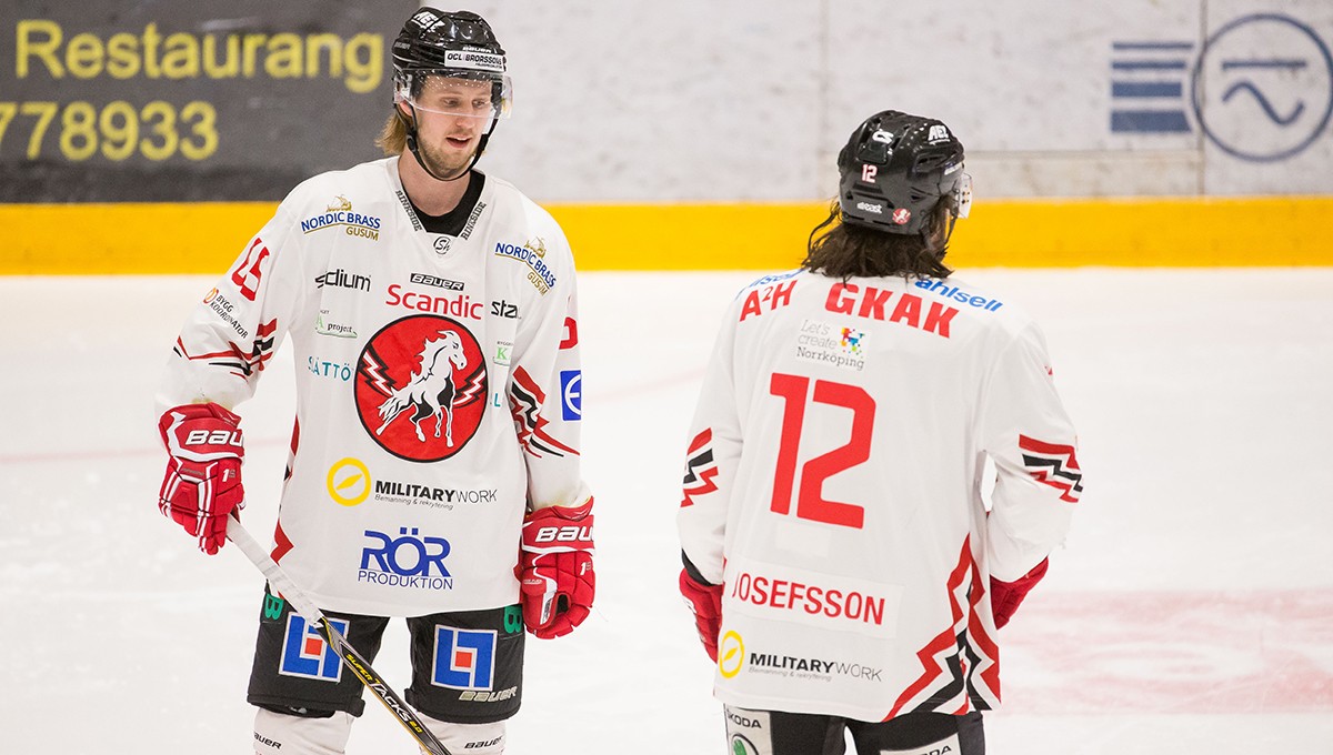 Efter 17 matcher – backen lämnar Hockeyallsvenska klubben