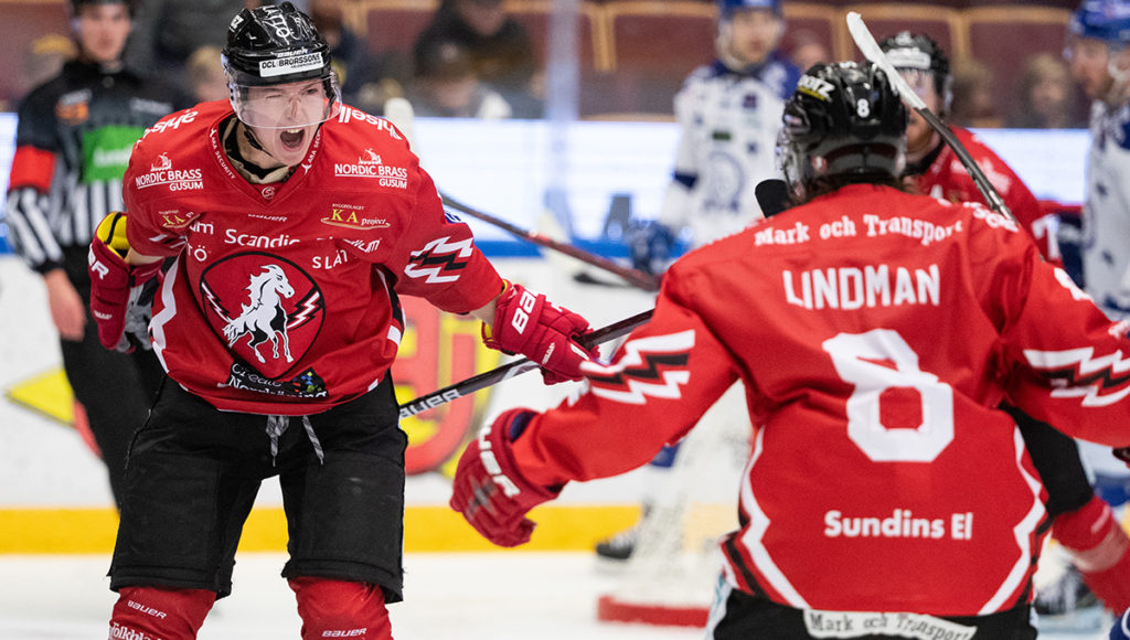 HOCKEYALLSVENSKAN: Spelarna som kan lämna Vita Hästen efter säsongen