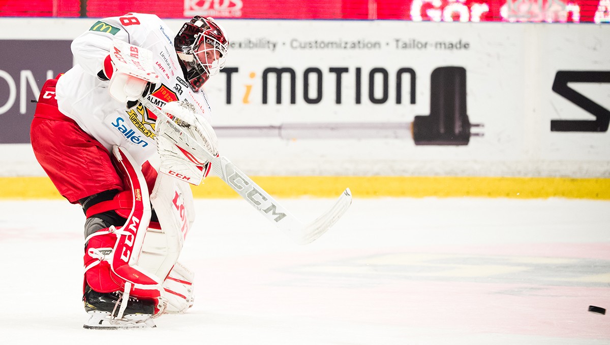 Brynäs lånar målvakt från Hockeyallsvenskan