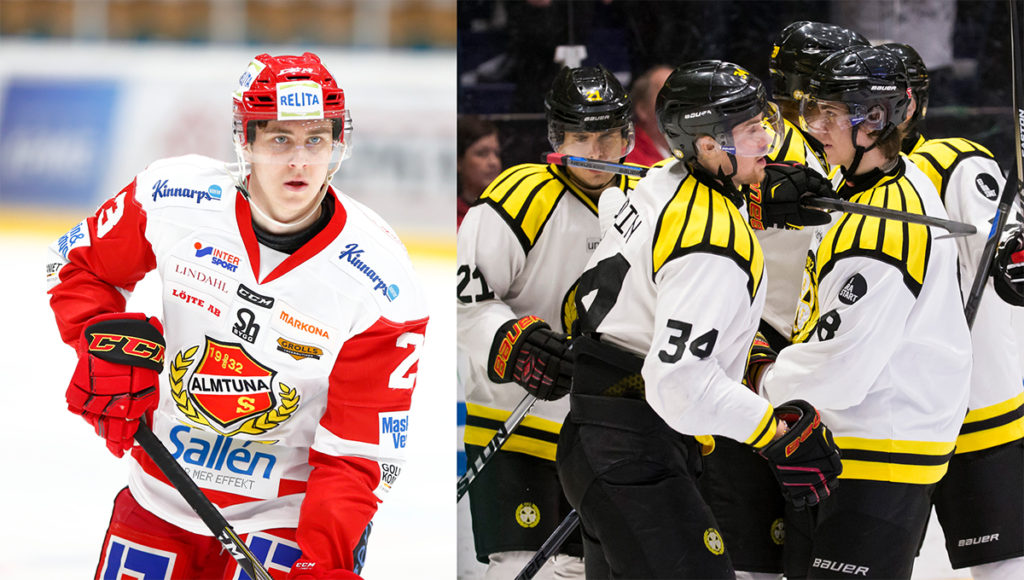 Skador på backarna – Brynäs värvar