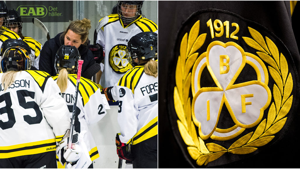Brynäs värvar inför slutspelet – "Känns helt fantastiskt"