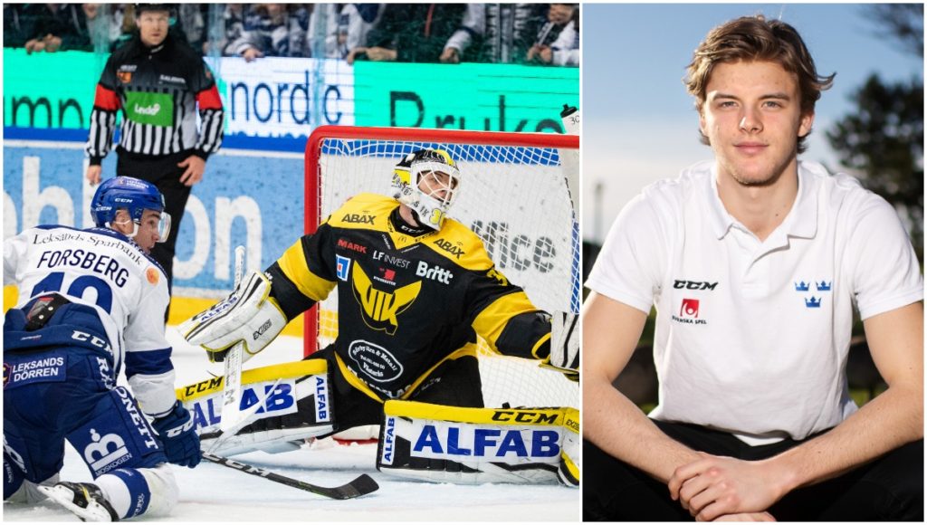 JVM-målvakten utsedd till Hockeyallsvenskans bästa junior