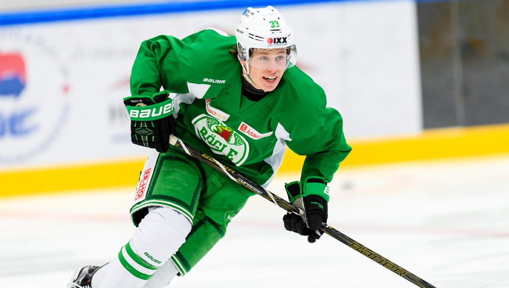 Mästaren återvänder till svensk hockey: "perfekt möjlighet"