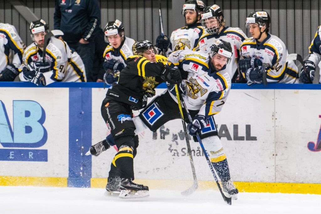SHL: Debutanten värvar från Hockeyettan