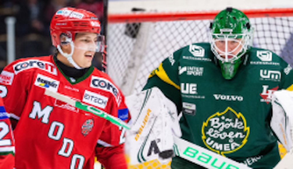 Finalen i Hockeyallsvenskan: ”domargrej som avgör”