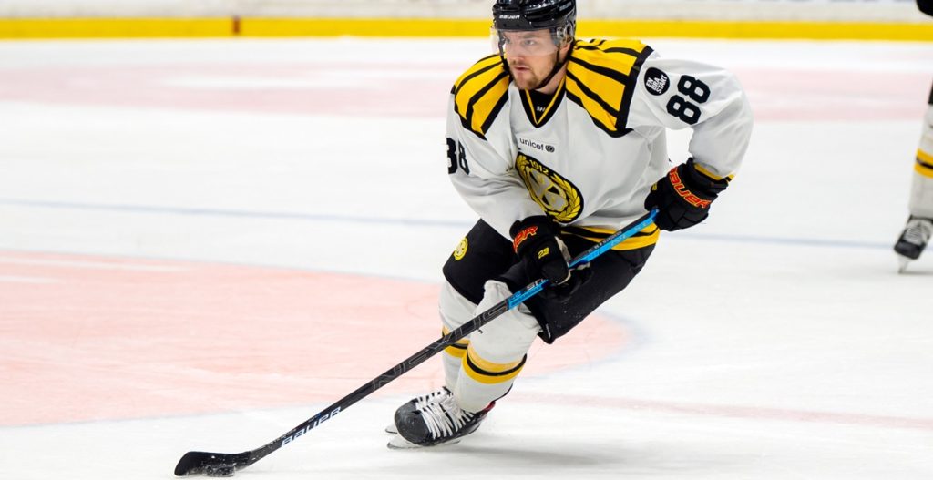 FÖRSÄSONG 2020: Brynäs träningsmatcher