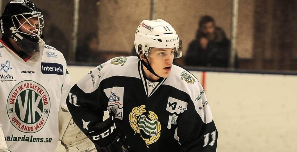 HOCKEYETTAN: Första supporterspelaren presenterad