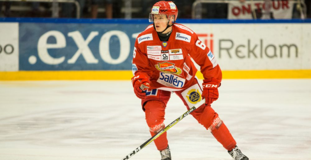 HOCKEYALLSVENSKAN: NHL-förstärkning till Almtuna