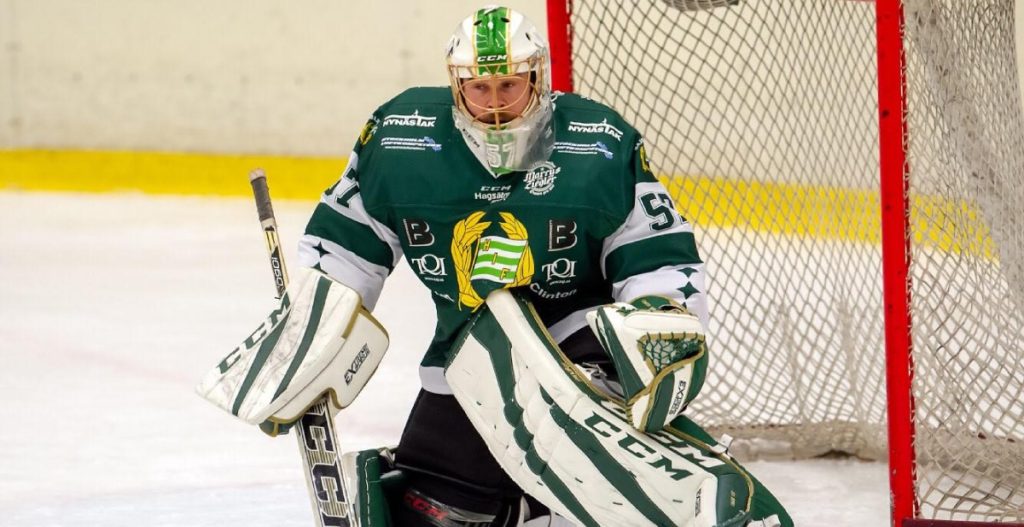 LISTA: Samtliga nyförvärv i Hockeyallsvenskan 2020/2021