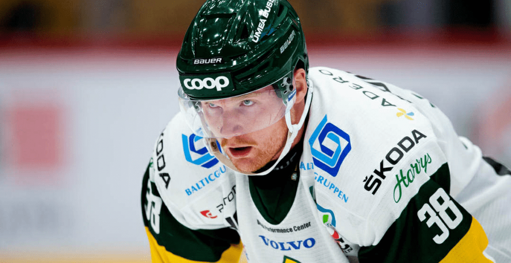 LISTOR: Statistiken för NHL-spelarna i Hockeyallsvenskan
