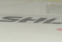 Silly season: Klara övergångar i SHL säsongen 2023/2024 Silly season 2023-2024 har startat