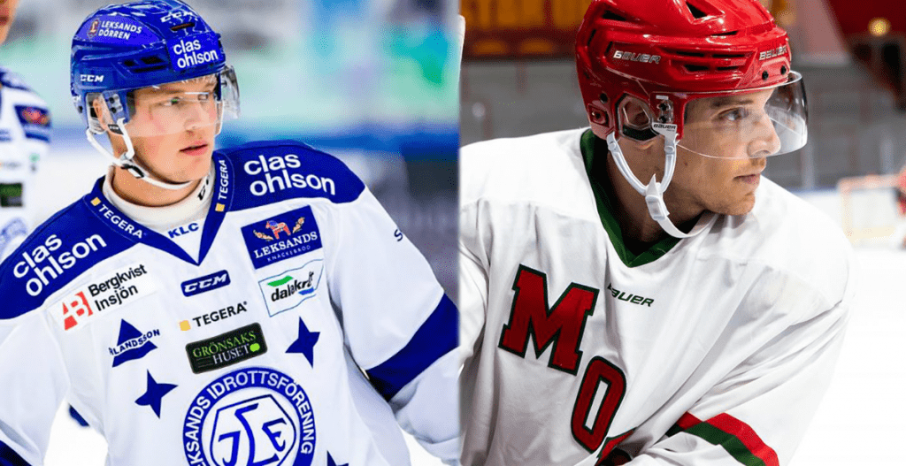 HOCKEYALLSVENSKAN: Två långa avstängningar utdömda