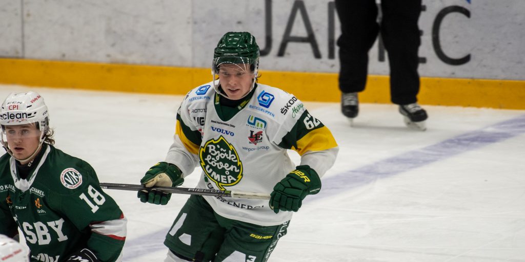 NHL-spelaren stannar i Hockeyallsvenskan