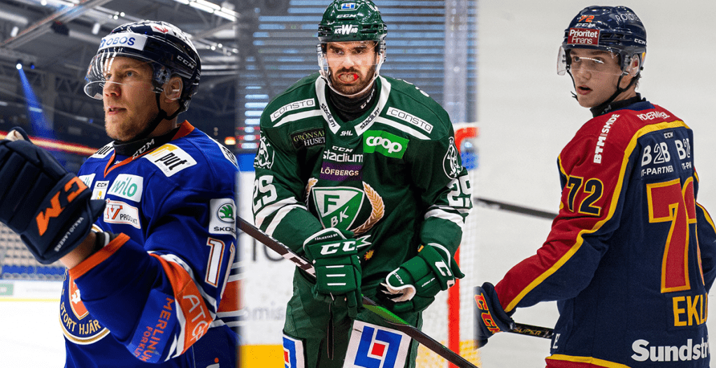 OMRÖSTNING: Månadens spelare i SHL november 2020