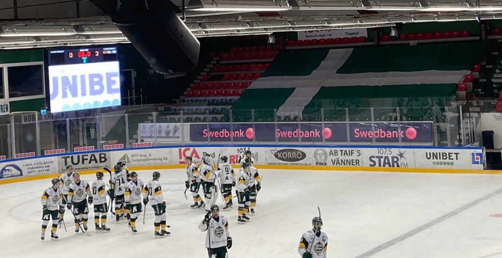 Tingsryd nollades på hemmaplan - av ett starkt Björklöven