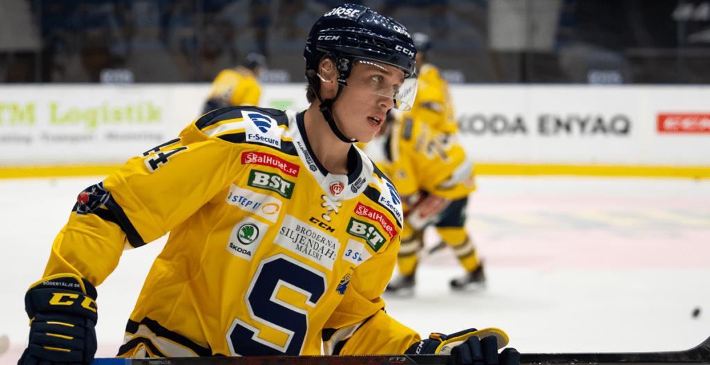HOCKEYALLSVENSKAN: Näste NHL-spelare lämnar