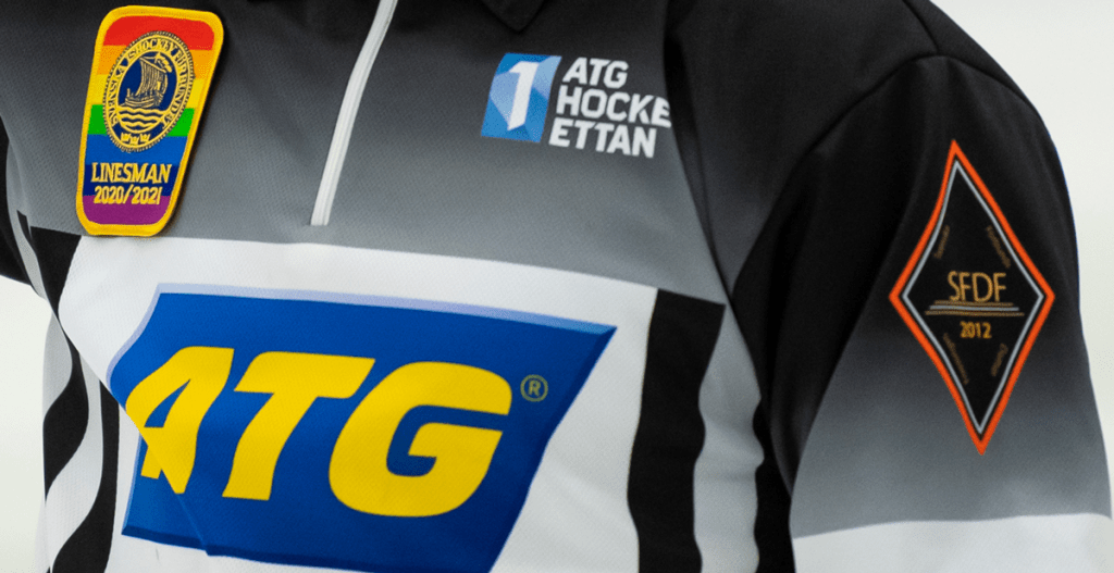 HOCKEYETTAN: Domaren chockad av sin målgest