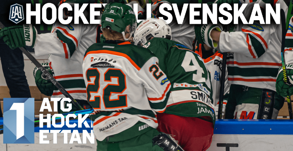RYSARKVALET: Vilka åker ur Hockeyallsvenskan
