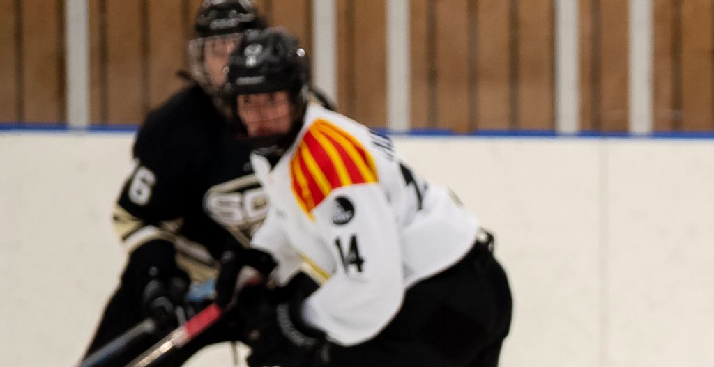 Lämnar Brynäs efter sex år i klubben