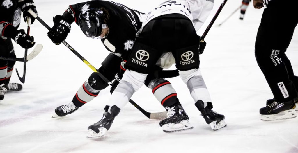 Vad för spel passar bäst för hockeyälskare på online casino? Vad för spel passar bäst för hockeyälskare på online casino?