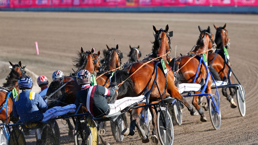 Från rinken till travet!