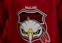 Den norske landslagsmannen klar för Redhawks Den norske landslagsmannen klar för Redhawks