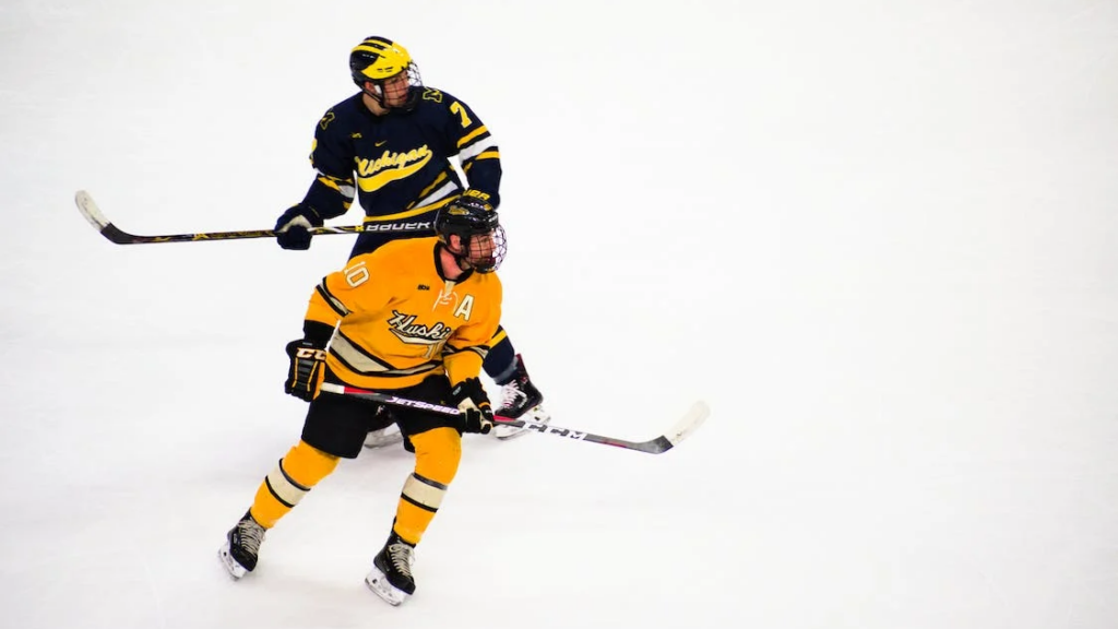 Bli en bättre hockeybettare med dessa tips Bli en bättre hockeybettare med dessa tips